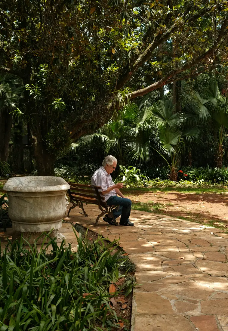 A calm garden seating area surrounded by tropical greenery.