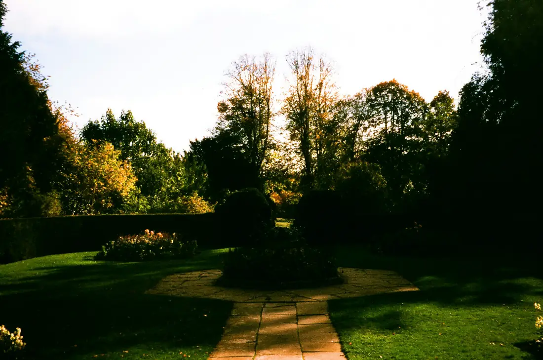 A quiet garden path surrounded by trees and warm natural light.