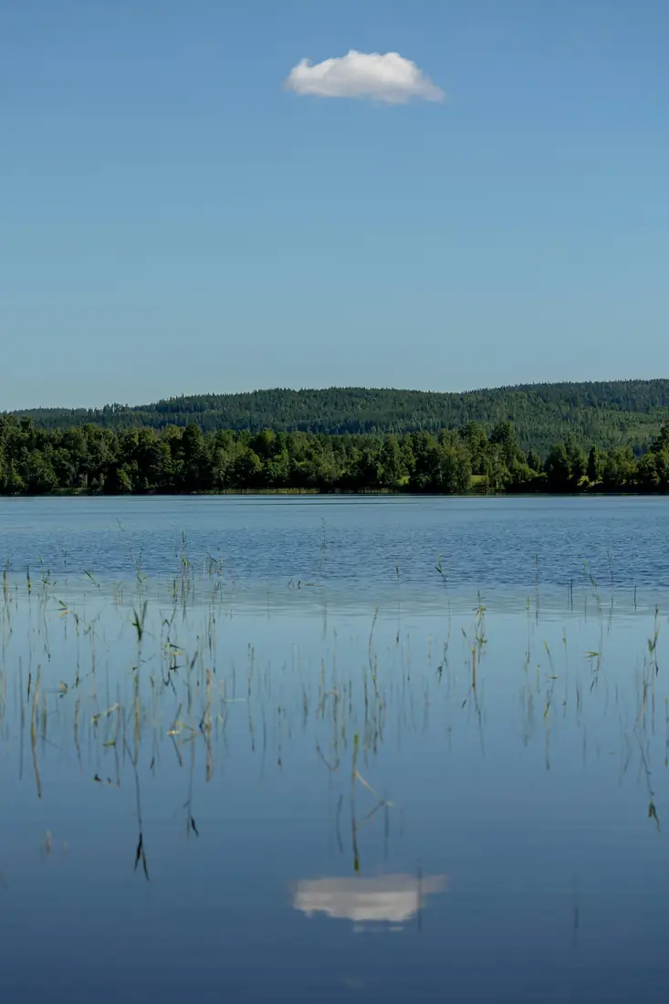 A peaceful lake with clear water, stones, and forested hills.